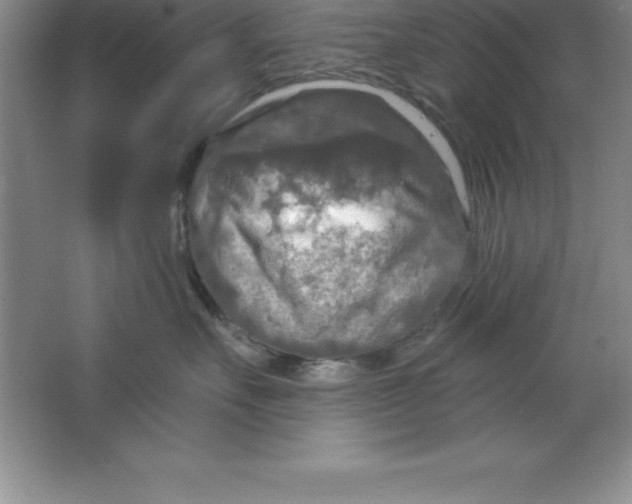 X0000063510527200602101929