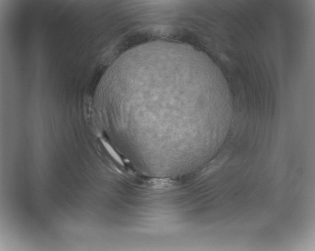 X0000063510528200602101929