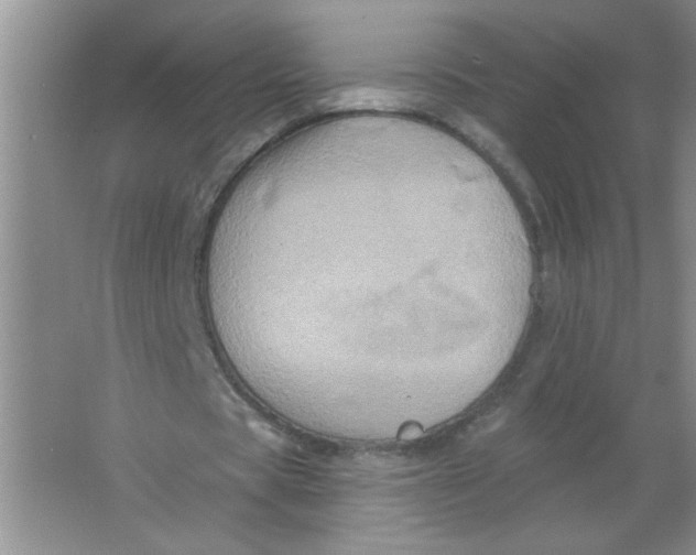 X0000063510529200602101928