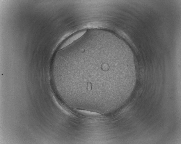 X0000063510530200602101928