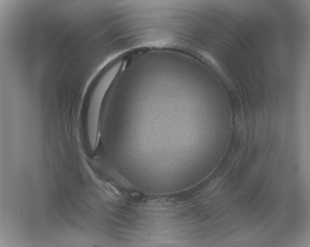 X0000063510532200602101928