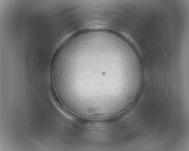 X0000063510533200602101928