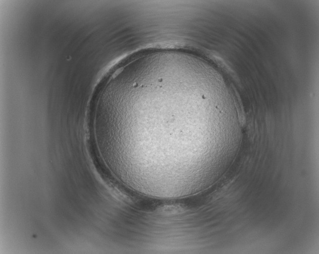 X0000063510536200602101928