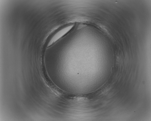 X0000063510539200602101928