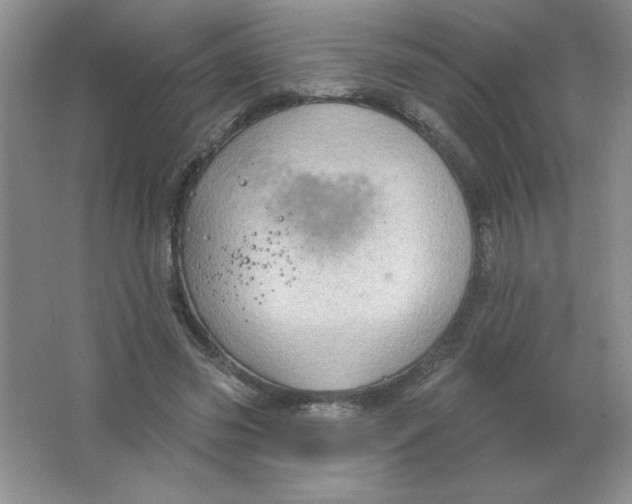 X0000063510541200602101928