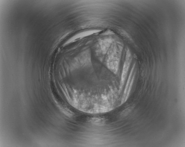 X0000063510542200602101928