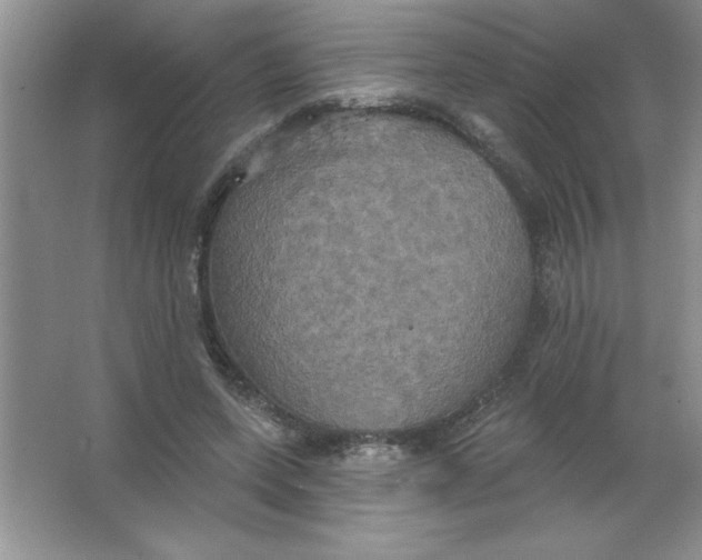 X0000063510543200602101928