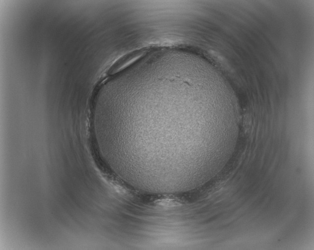 X0000063510544200602101928