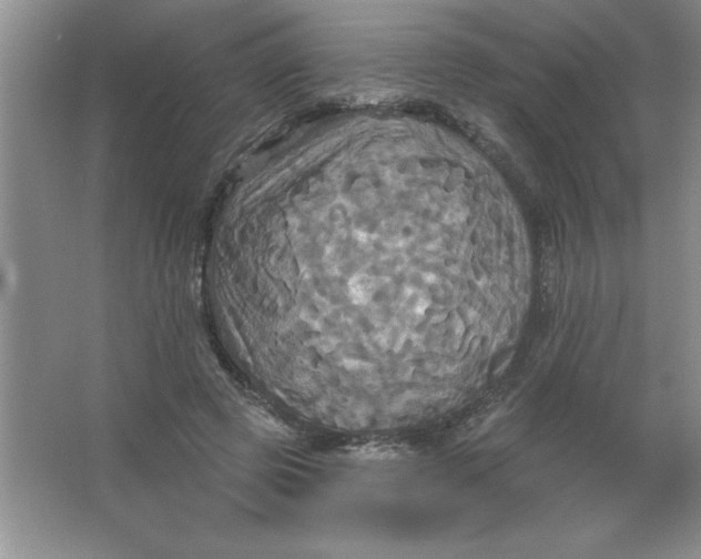 X0000063510545200602101928