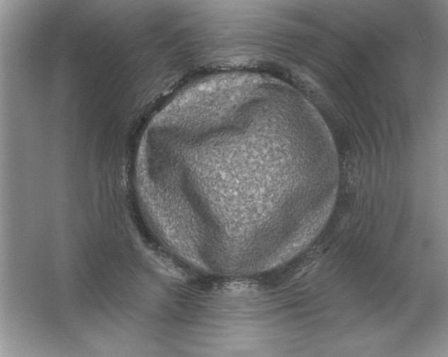 X0000063510546200602101928