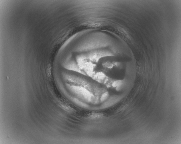 X0000063510549200602101928