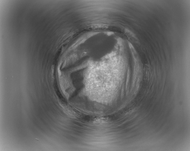 X0000063510550200602101928