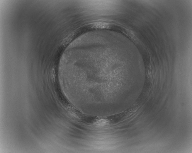 X0000063510551200602101928