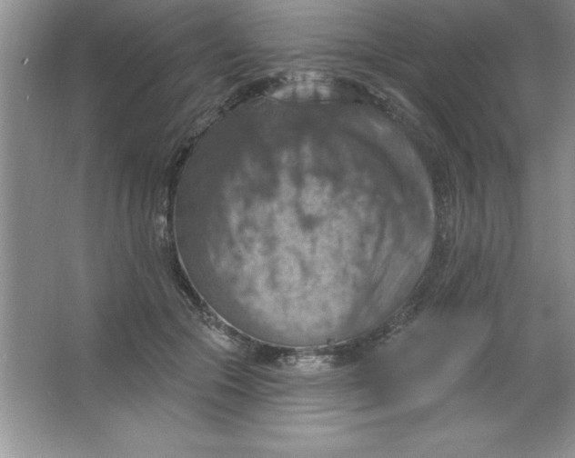 X0000063510553200602101928