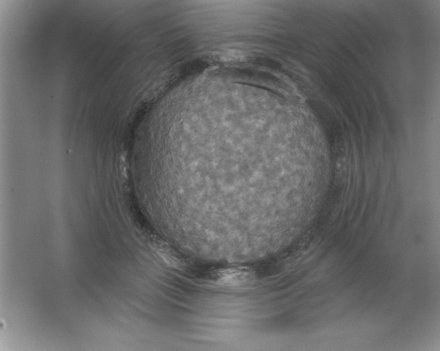 X0000063510555200602101928