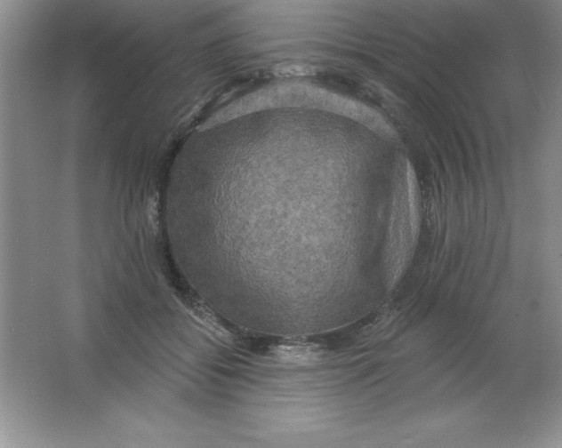 X0000063510556200602101928