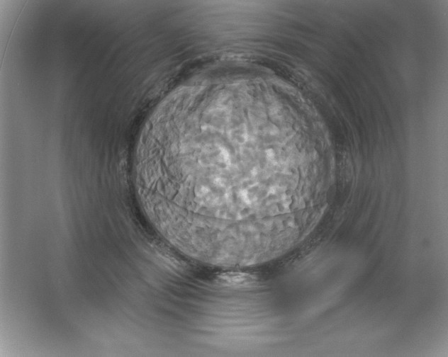 X0000063510557200602101928