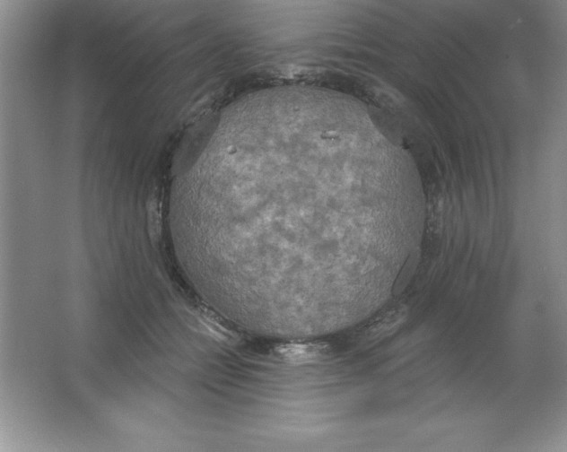 X0000063510558200602101928