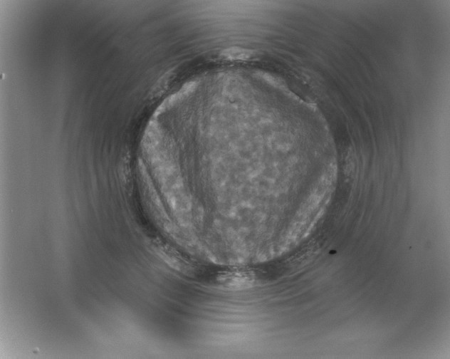 X0000063510559200602101928