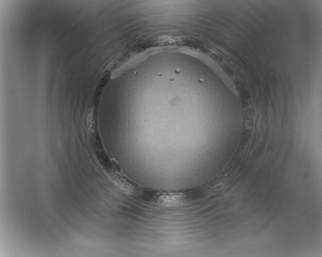 X0000063510560200602101928