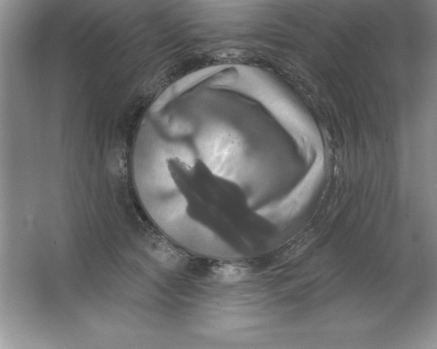 X0000063510561200602101928