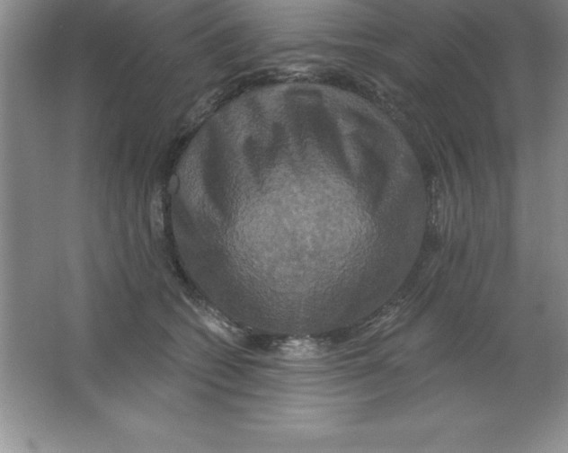 X0000063510562200602101928