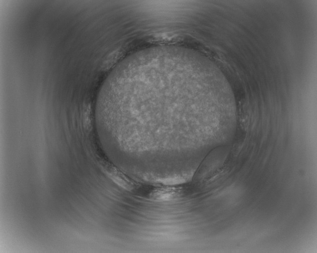 X0000063510563200602101928