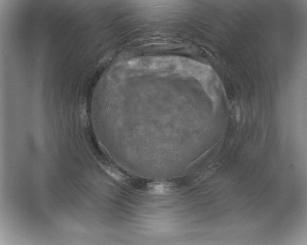 X0000063510564200602101928