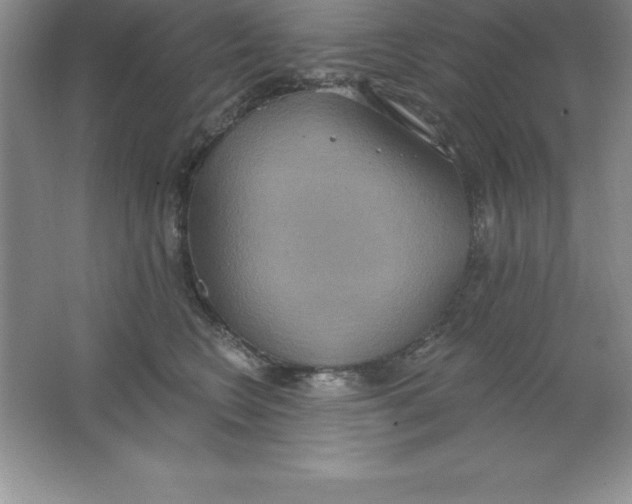 X0000063510566200602101928