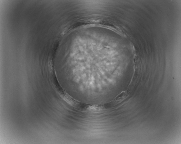 X0000063510568200602101928