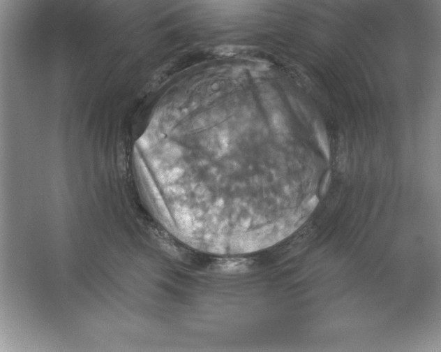 X0000063510569200602101928