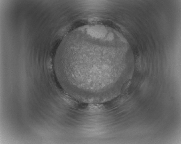 X0000063510571200602101928