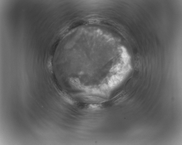 X0000063510573200602101928