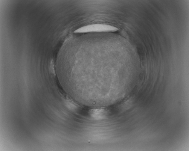 X0000063510575200602101928