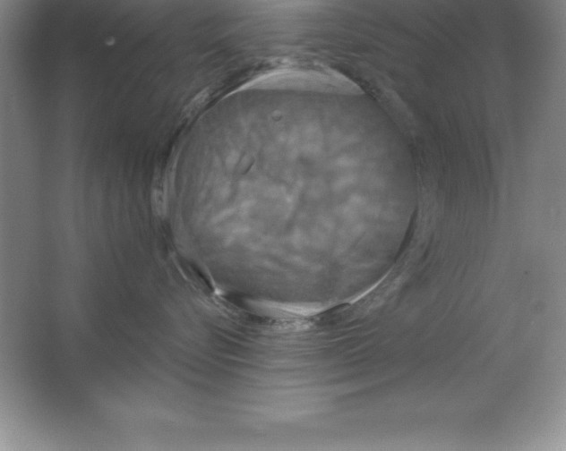 X0000063510576200602101928