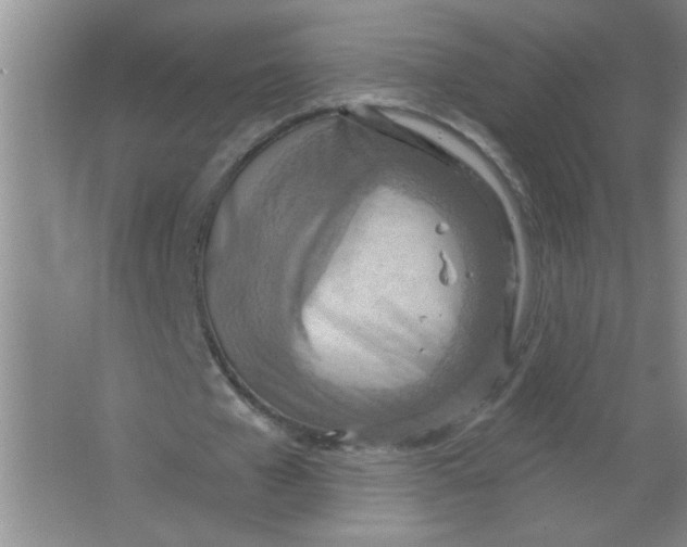 X0000063510577200602101928