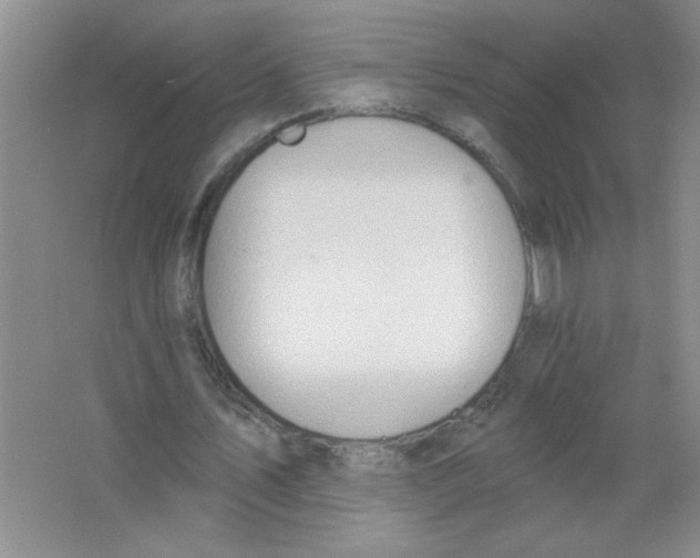 X0000063510579200602101928