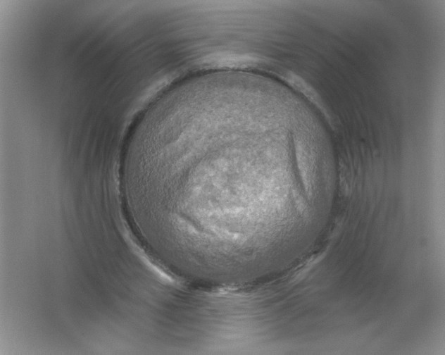 X0000063510581200602101928