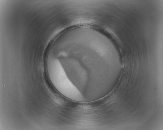 X0000063510582200602101928