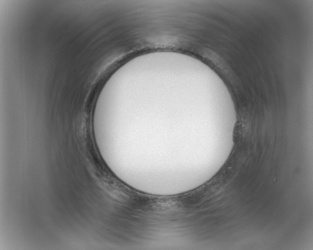 X0000063510583200602101928