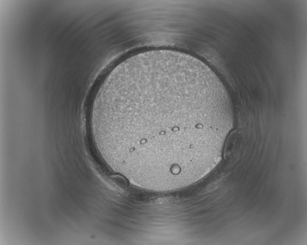 X0000063510584200602101928