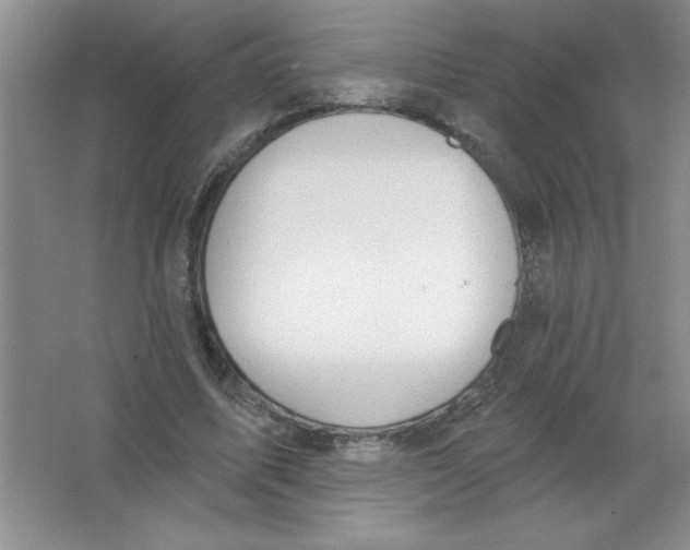 X0000063510587200602101928