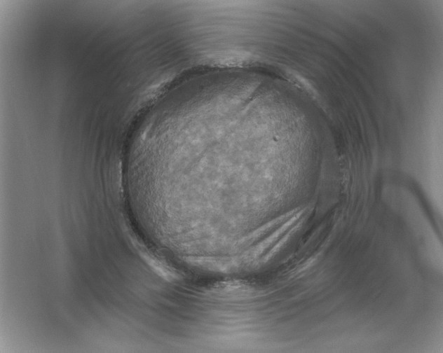 X0000063510589200602101927