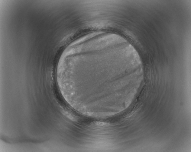 X0000063510590200602101927