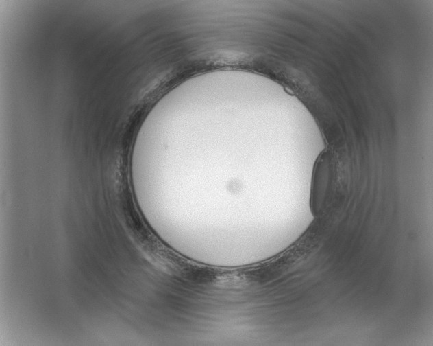 X0000063510591200602101927