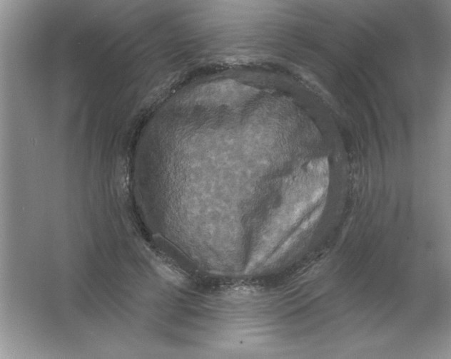 X0000063510593200602101927