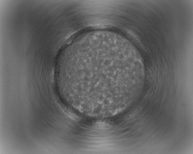 X0000063510596200602101927