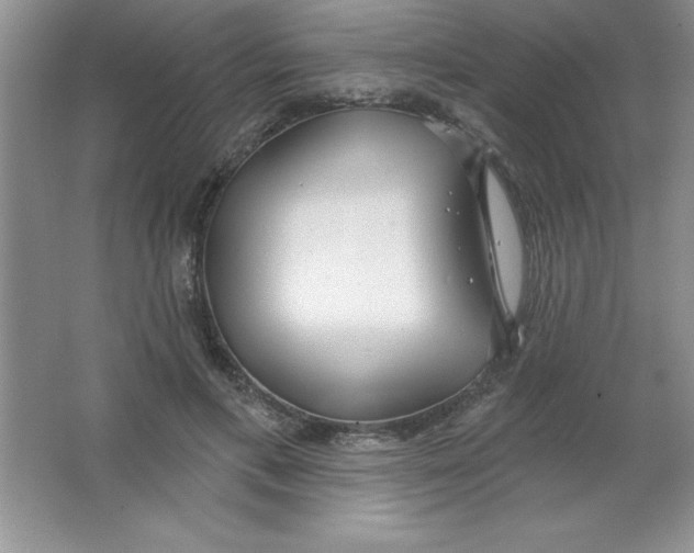 X0000063510597200602101927