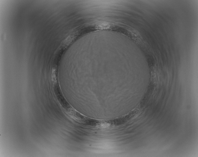 X0000063510598200602101927