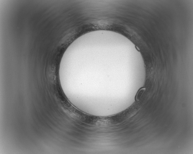 X0000063510599200602101927